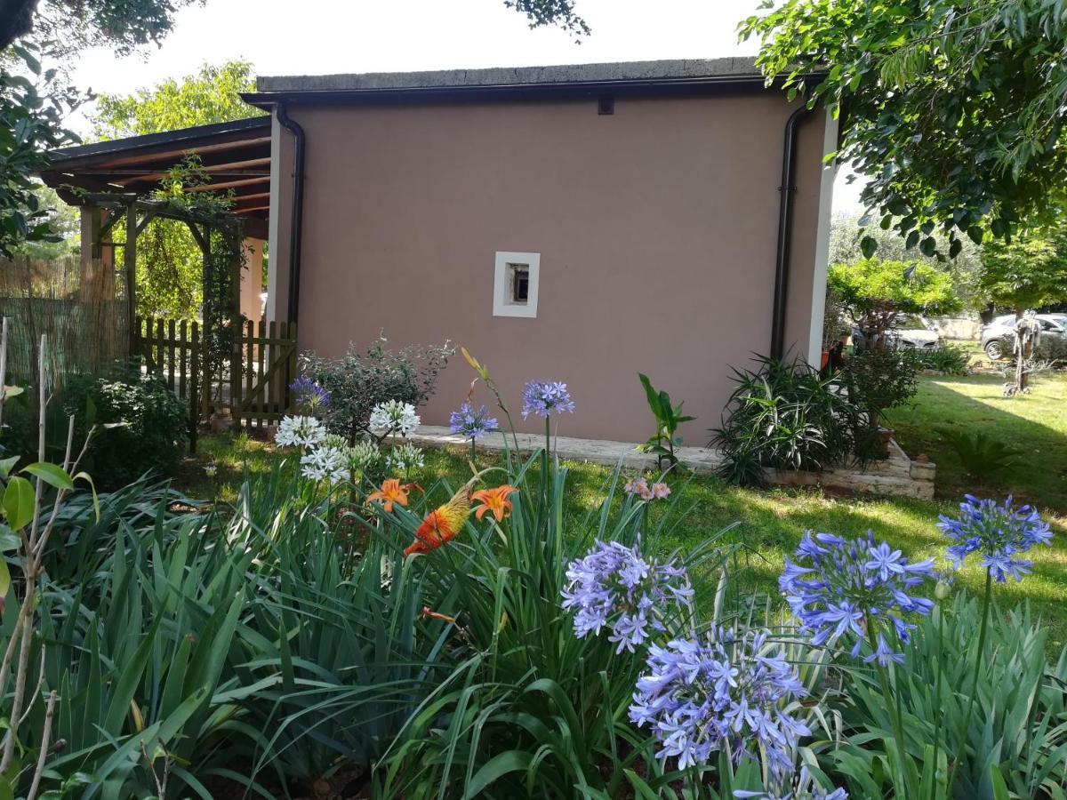 Apartman "Almond House 2" PUY Eksteriør bilde